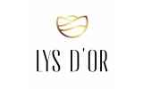 Lys d'Or
