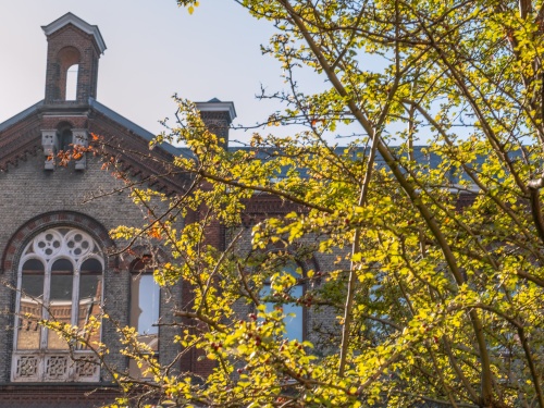 28092025_silentsunday_Eva Donckers-8919.jpg