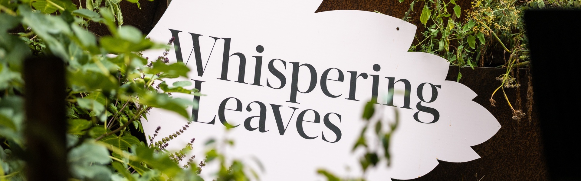 20.09 Whispering leaves