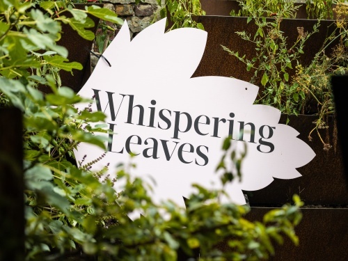 20.09 Whispering leaves