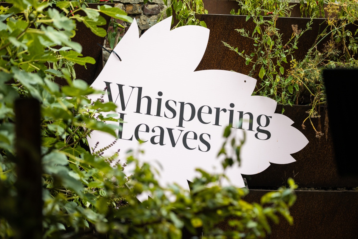 20.09 Whispering leaves